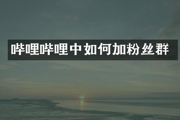 哔哩哔哩中如何加粉丝群