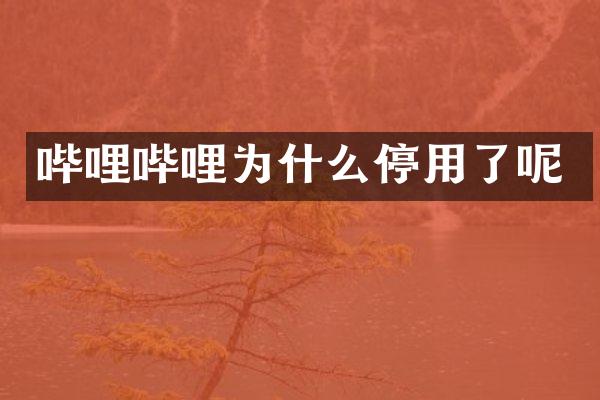 哔哩哔哩为什么停用了呢