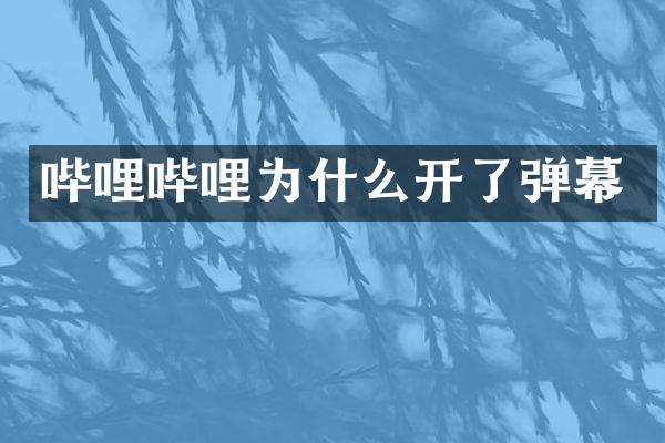 哔哩哔哩为什么开了弹幕