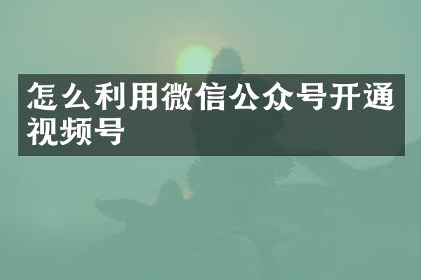 怎么利用微信公众号开通视频号