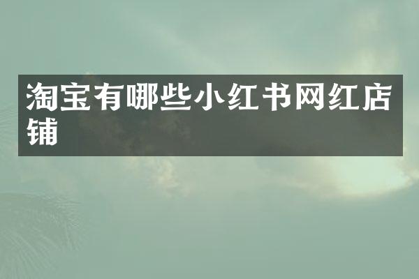淘宝有哪些小红书网红店铺