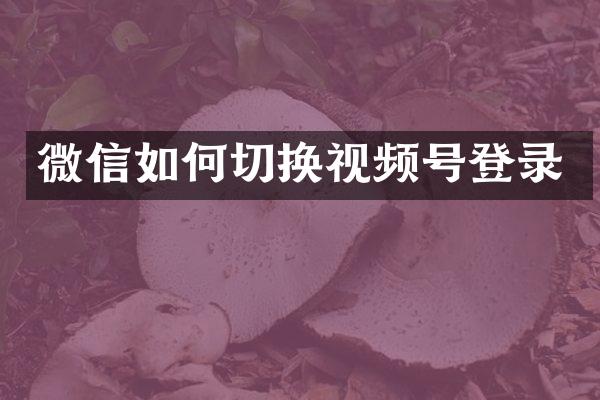 微信如何切换视频号登录