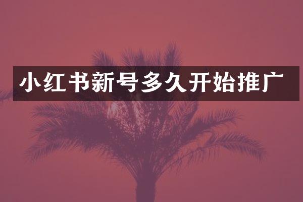小红书新号多久开始推广