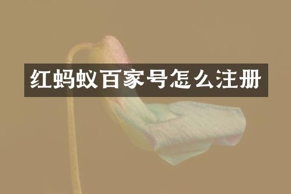 红蚂蚁百家号怎么注册