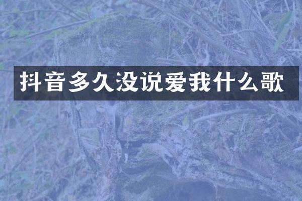 抖音多久没说爱我什么歌