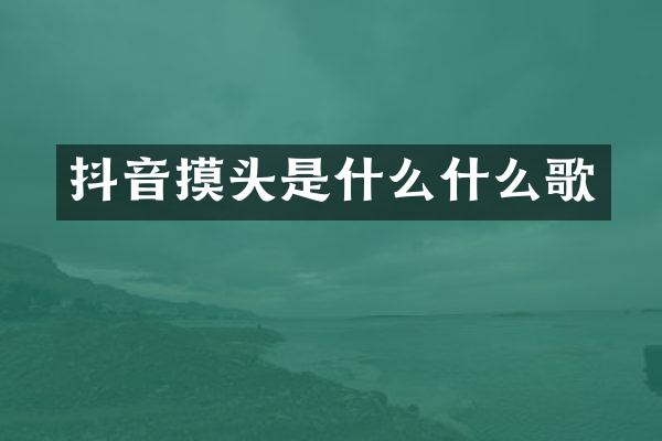 抖音摸头是什么什么歌