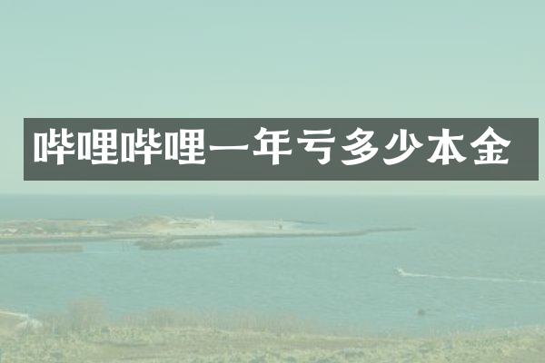 哔哩哔哩一年亏多少本金
