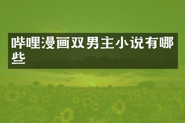 哔哩漫画双男主小说有哪些