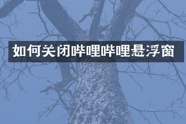 如何关闭哔哩哔哩悬浮窗
