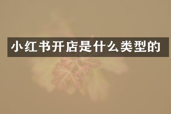 小红书开店是什么类型的
