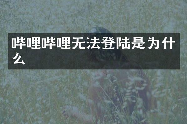 哔哩哔哩无法登陆是为什么