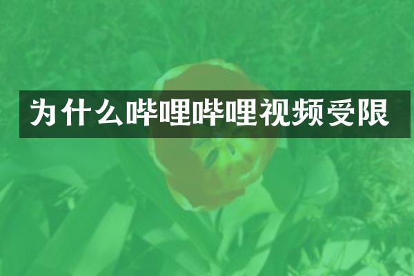 为什么哔哩哔哩视频受限