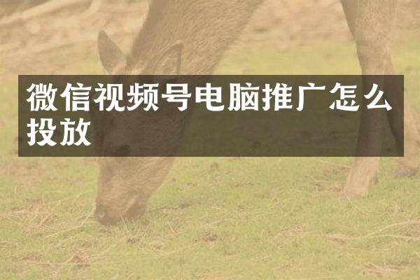 微信视频号电脑推广怎么投放