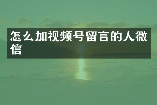 怎么加视频号留言的人微信