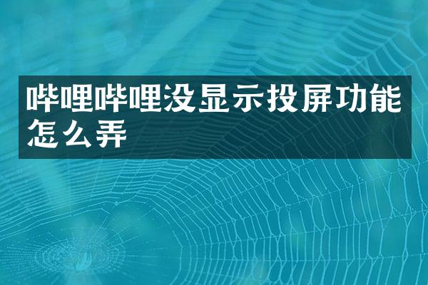 哔哩哔哩没显示投屏功能怎么弄