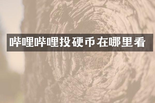 哔哩哔哩投硬币在哪里看