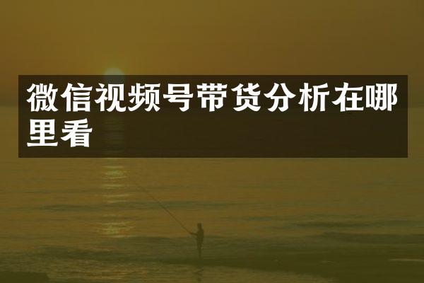 微信视频号带货分析在哪里看