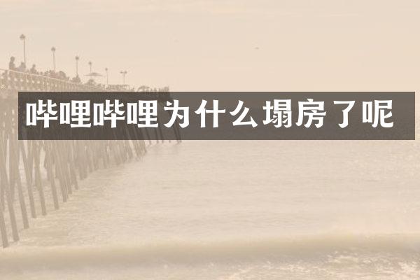 哔哩哔哩为什么塌房了呢
