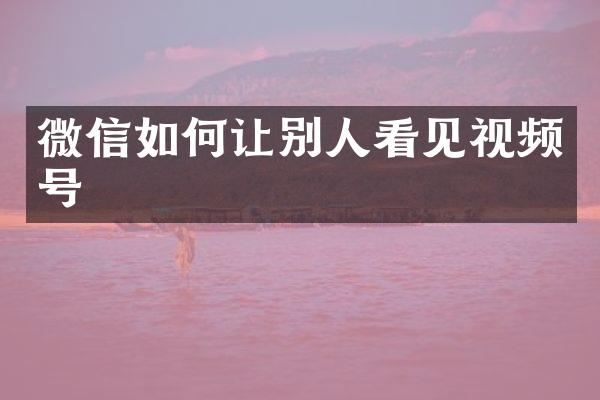 微信如何让别人看见视频号