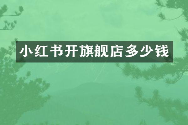 小红书开旗舰店多少钱