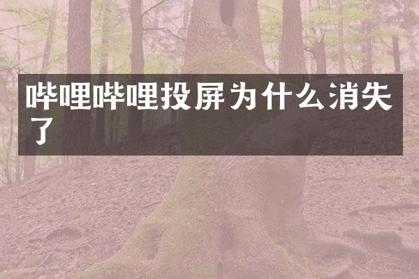 哔哩哔哩投屏为什么消失了