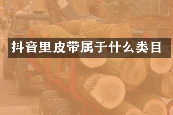 抖音里皮带属于什么类目
