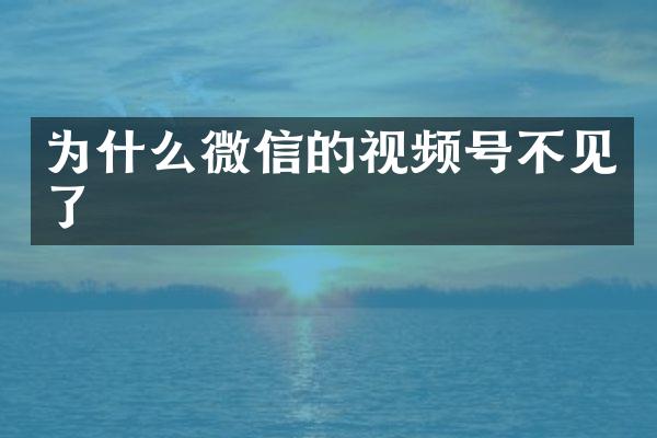 为什么微信的视频号不见了