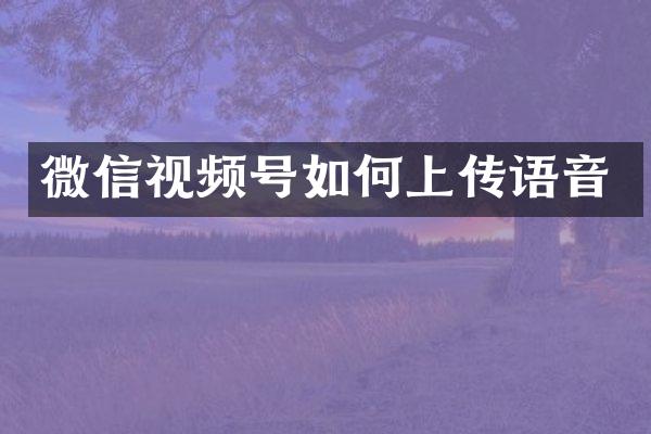 微信视频号如何上传语音
