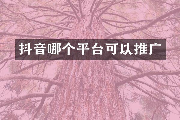 抖音哪个平台可以推广