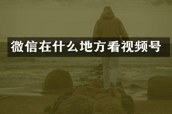 微信在什么地方看视频号