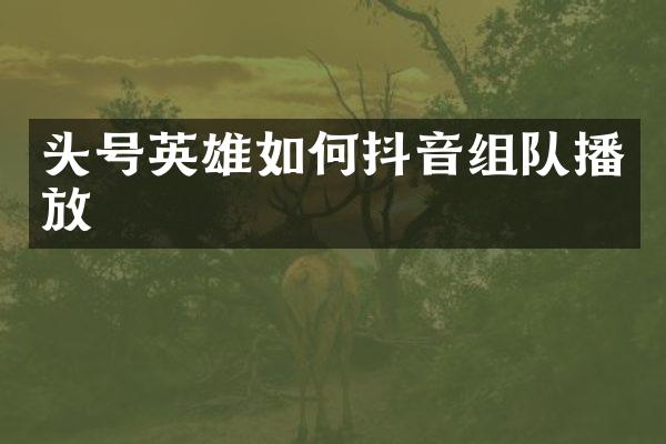 头号英雄如何抖音组队播放