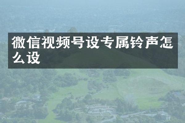 微信视频号设专属铃声怎么设
