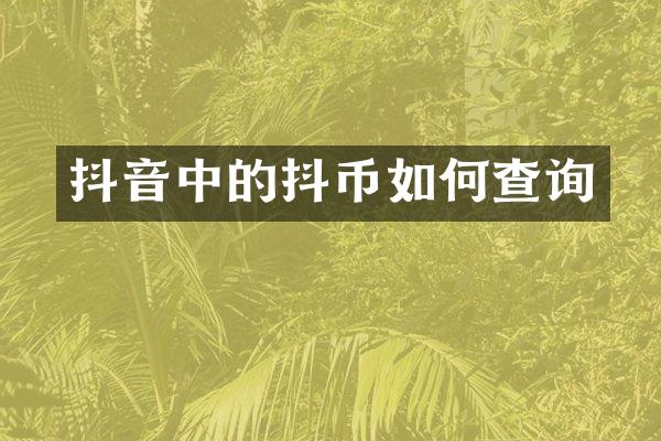 抖音中的抖币如何查询