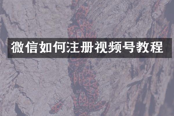 微信如何注册视频号教程