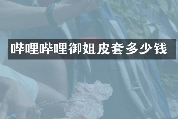 哔哩哔哩御姐皮套多少钱