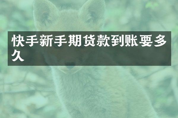 快手新手期货款到账要多久