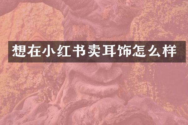想在小红书卖耳饰怎么样