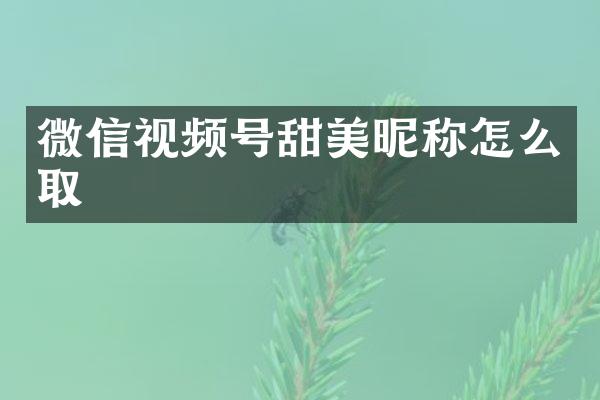 微信视频号甜美昵称怎么取