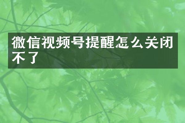 微信视频号提醒怎么关闭不了