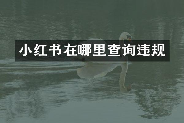 小红书在哪里查询违规