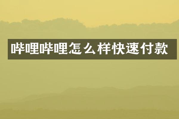 哔哩哔哩怎么样快速付款