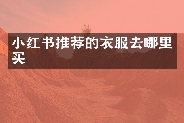 小红书推荐的衣服去哪里买