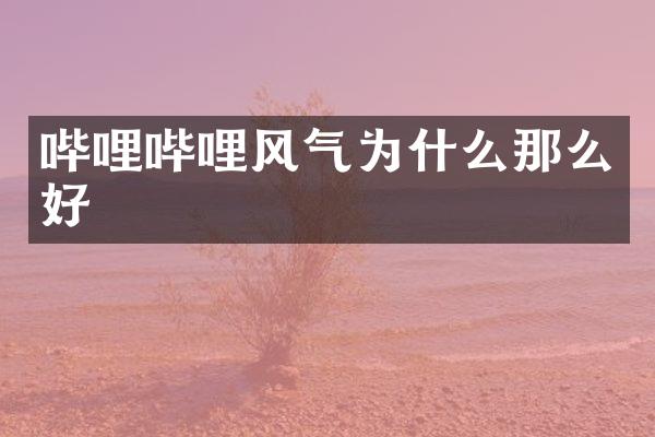 哔哩哔哩风气为什么那么好