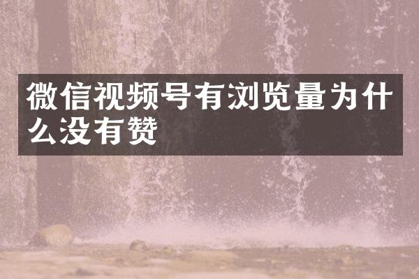 微信视频号有浏览量为什么没有赞