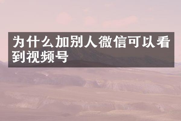 为什么加别人微信可以看到视频号
