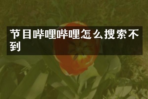 节目哔哩哔哩怎么搜索不到