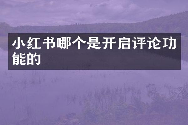 小红书哪个是开启评论功能的