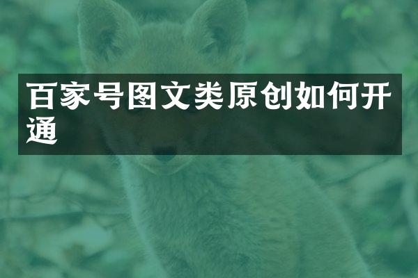 百家号图文类原创如何开通