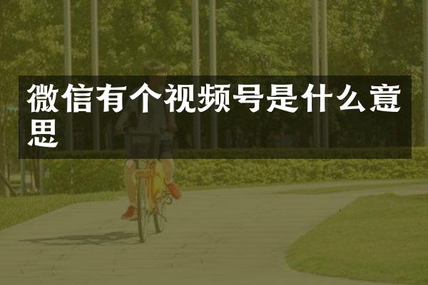 微信有个视频号是什么意思
