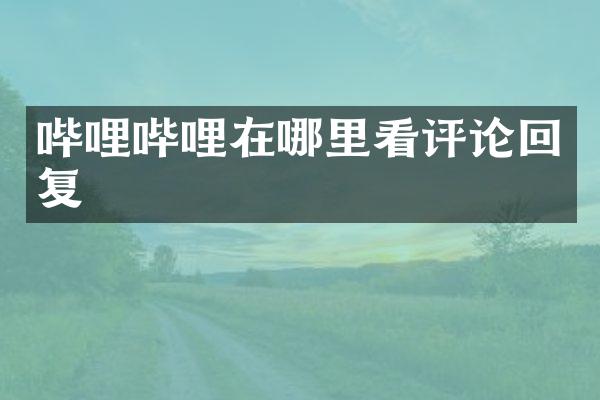 哔哩哔哩在哪里看评论回复